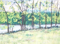 Paintings of Trees in Maine