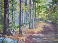 Old County Road, Oxford, Maine